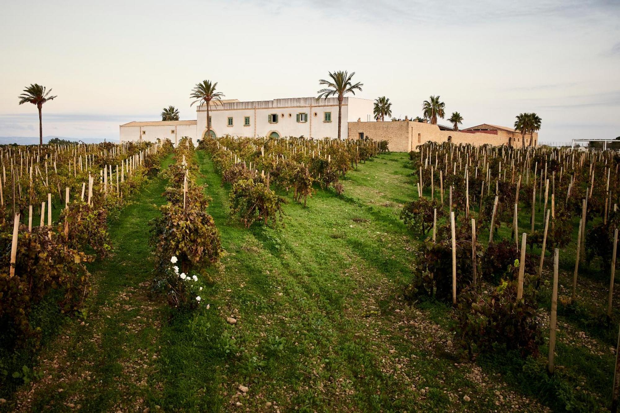 Agriturismo Baglio Donnafranca Wine Resort Marsala Exterior photo